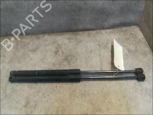 Used Tailgate lift support DACIA SANDERO 1.2 16V LPG (75 hp) 14879940