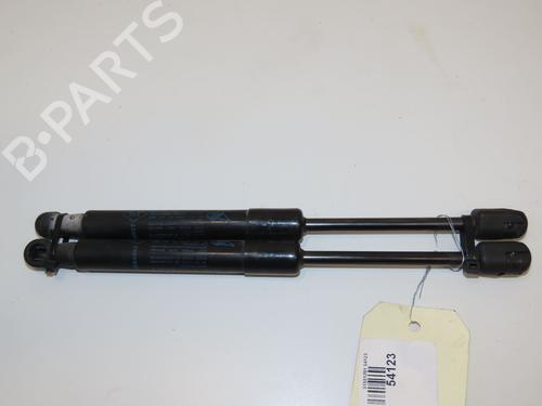 Hood lift support RENAULT SCÉNIC III (JZ0/1_) 1.5 dCi | BP28831057C139 