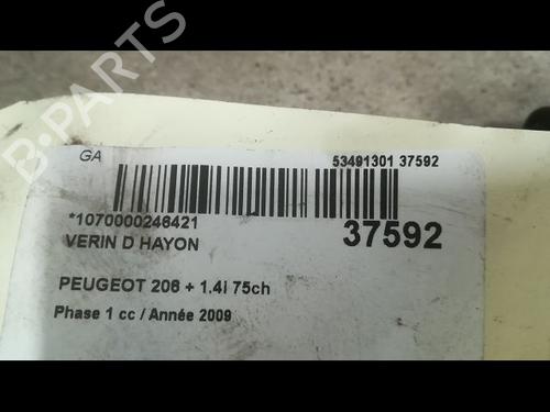 Used Tailgate lift support PEUGEOT 206+ (2L_, 2M_) 1.4 i (2LKFWA, 2MKFWA) (75 hp) 14879755