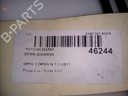 Gassdemper Bakluke OPEL CORSA D (S07) 1.3 CDTI (L08, L68) | BP14880211C138 