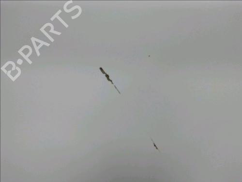 Tailgate PEUGEOT 406 (8B) 2.0 HDI 90 | BP18913175C6 
