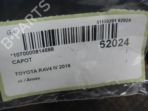 Used Hood Hood TOYOTA RAV 4 IV (_A4_) 2.5 Hybrid 4WD (AVA44, AVA44_) (197 hp) 40484824 40484824