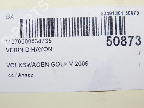 Tailgate lift support VW GOLF PLUS V (5M1, 521) 1.6 FSI | BP28832273C138 