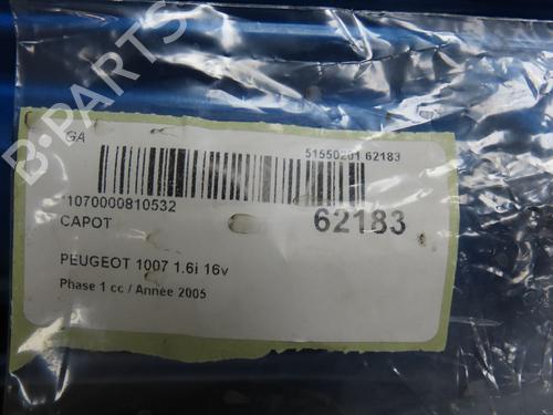 Used Hood Hood PEUGEOT 1007 (KM_) 1.6 16V (109 hp) 39698935 39698935