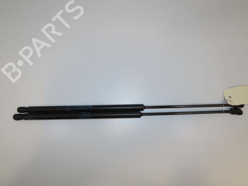 Tailgate lift support CITROËN C4 Picasso I MPV (UD_) 2.0 HDi 138 | BP29151008C138 