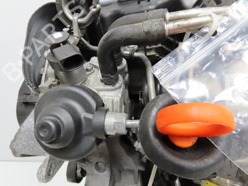 Engine SEAT EXEO ST (3R5) 2.0 TDI | BP39541892M1 - Image 3