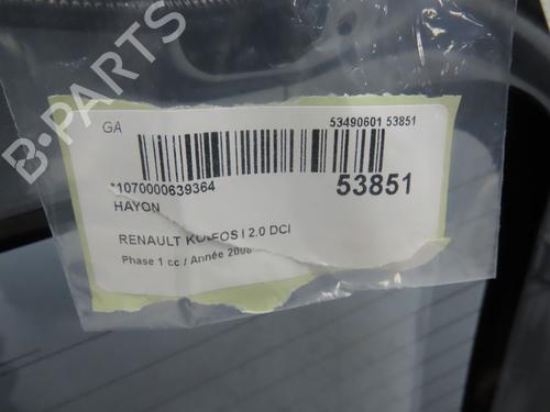 Tailgate RENAULT KOLEOS I (HY_) 2.0 dCi 4x4 (HY0K) | BP28969221C6 