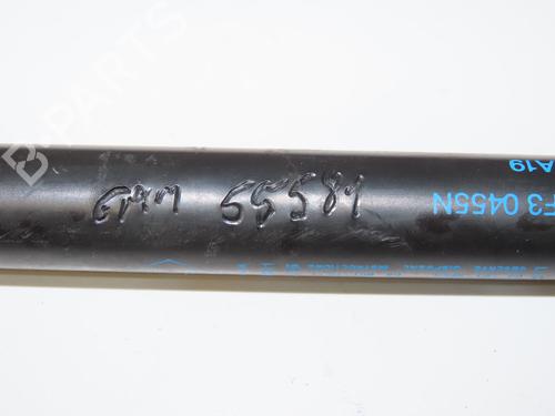 Tailgate lift support RENAULT TWINGO II (CN0_) 1.2 16V (CN0K, CN0V, CN0A) | BP32150815C138