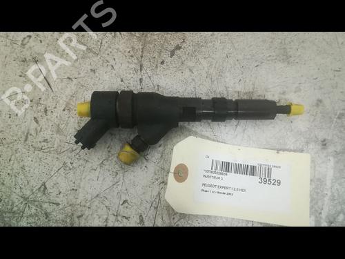 Injector PEUGEOT EXPERT (224_) 2.0 HDi | BP23171615M100 