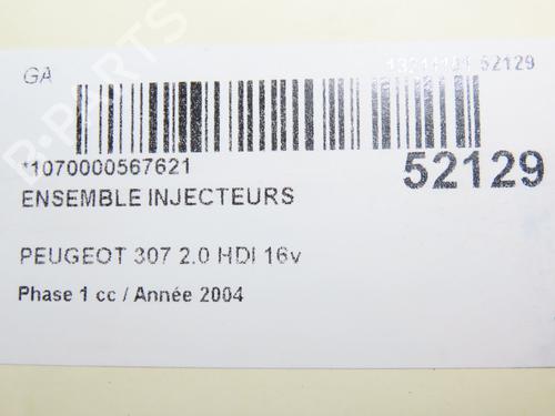 Used Injector PEUGEOT 307 (3A/C) 2.0 HDi 135 (136 hp) 28828807