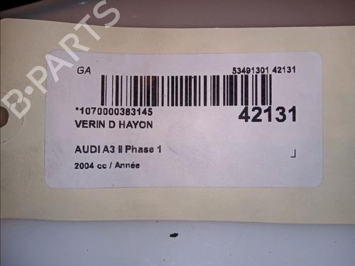 Tailgate lift support AUDI A3 Sportback (8PA) 2.0 TDI 16V | BP14880030C138 