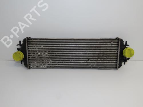 Other RENAULT TRAFIC II Bus (JL) 1.9 dCI 80 (JL0B) | BP31120004O1