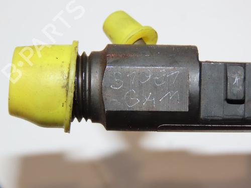 Used Injector CITROËN C5 III (RD_) 2.0 HDi (RDRHD8, RDRHDJ, RDRHR8, RDRHRJ) (136 hp) 28828814