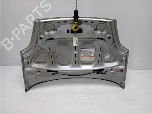 Hood FIAT GRANDE PUNTO (199_) 1.4 (199AXB11, 199AXB1A, 199BXB1A, 199AXL1A) | BP14951290C1