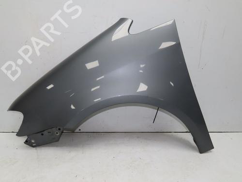Left front fenders VW TOURAN (1T1, 1T2) 1.9 TDI | BP28830971C41 