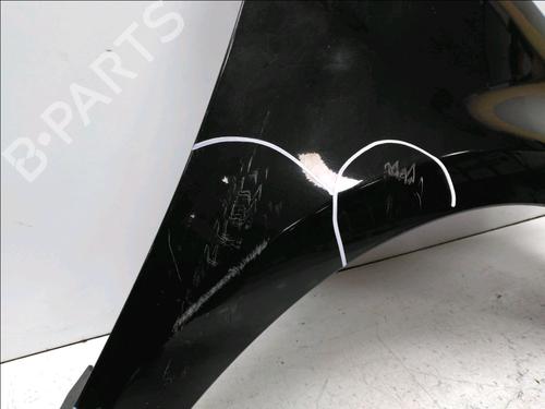 Right front fenders RENAULT CLIO III (BR0/1, CR0/1) 1.2 16V (BR0P, CR0P) | BP19170729C42 