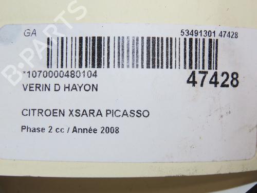 Tailgate lift support CITROËN XSARA PICASSO (N68) 1.6 HDi | BP22811375C138 