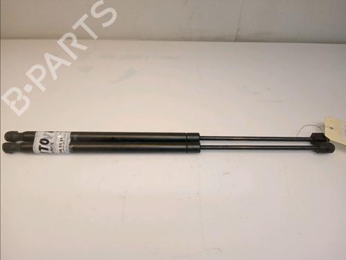 Used Tailgate lift support RENAULT SCÉNIC II (JM0/1_) 1.5 dCi (JM1E, JM16) (106 hp) 14880200