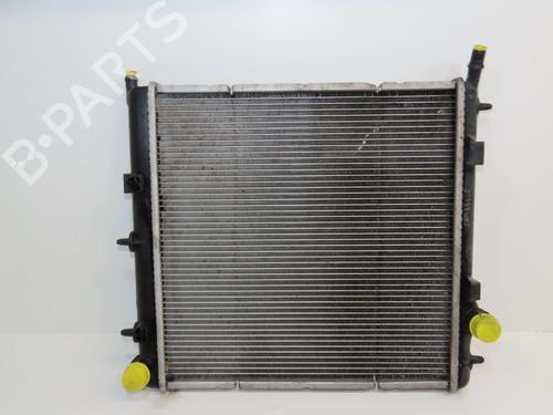 Køler PEUGEOT 207 (WA_, WC_) 1.4 (73 hp) 30893415
