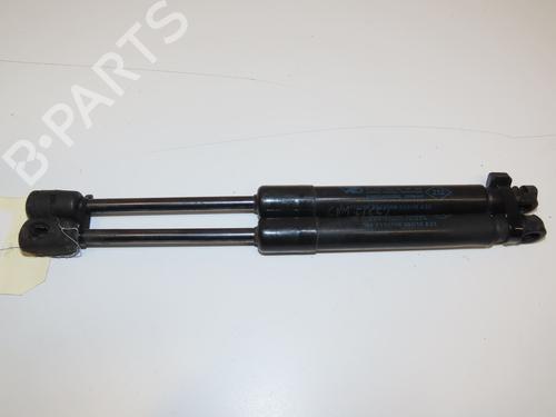 Used Hood lift support RENAULT SCÉNIC III (JZ0/1_) 1.5 dCi (110 hp) 28968399