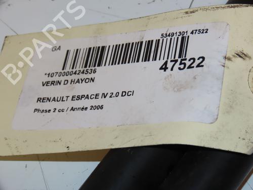 Used Tailgate lift support RENAULT ESPACE IV (JK0/1_) 2.0 dCi (JK01, JK02, JK1J, JK1K, JK1H) (150 hp) 16740907