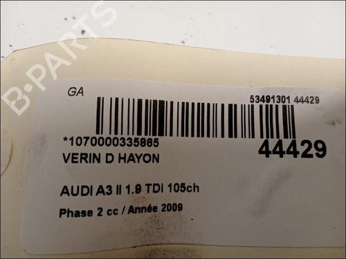 Tailgate lift support AUDI A3 (8P1) 1.9 TDI | BP14880121C138 