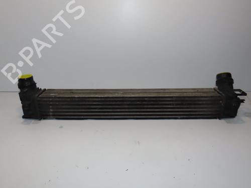 Used Other RENAULT MEGANE III Hatchback (BZ0/1_, B3_) 1.5 dCi (BZ09, BZ0D, BZ1W, BZ29, BZ14) (110 hp) 28828753