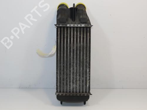 Used Intercooler Intercooler PEUGEOT 207 (WA_, WC_) 1.6 HDi (90 hp) 18601611 18601611