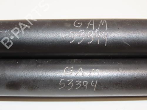Gassdemper Bakluke RENAULT CLIO II (BB_, CB_) 1.5 dCi (B/CB08) | BP28969309C138 