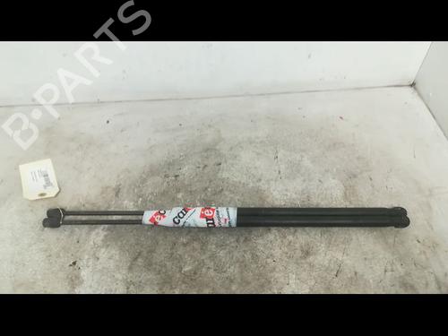 Used Tailgate lift support FORD FIESTA V (JH_, JD_) 1.4 TDCi (68 hp) 14879871