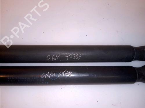 Tailgate lift support RENAULT MEGANE III Grandtour (KZ0/1) 1.9 dCi (KZ0J, KZ0N, KZ1S) | BP14951875C138