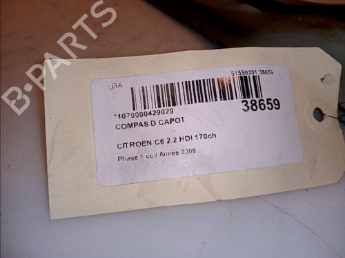 Hinge/Door check strap CITROËN C6 (TD_) 2.2 HDi | BP14878922C146