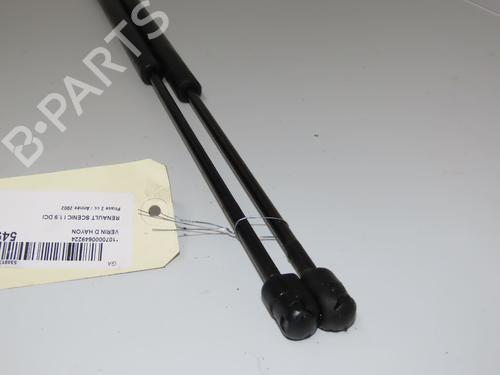 Tailgate lift support RENAULT SCÉNIC I MPV (JA0/1_, FA0_) 1.9 dCi (JA05, JA1F) | BP30916928C138