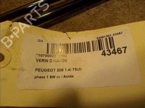 Tailgate lift support PEUGEOT 206 SW (2E/K) 1.4 | BP14880084C138 