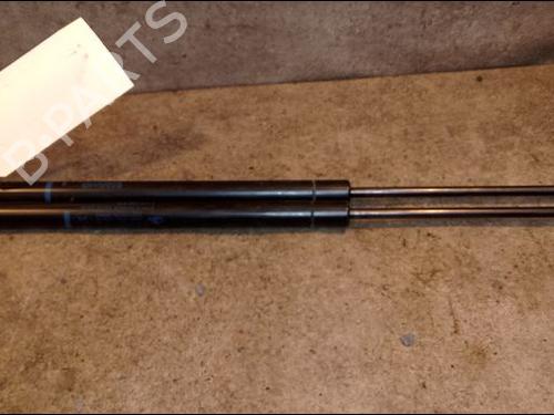 Used Tailgate lift support RENAULT SCÉNIC II (JM0/1_) 1.6 16V (JM1R) (112 hp) 14880094
