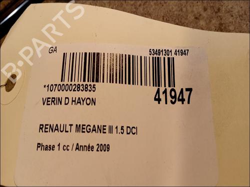 Tailgate lift support RENAULT MEGANE III Grandtour (KZ0/1) 1.5 dCi (KZ1M, KZ1W, KZ0R) | BP14880019C138 
