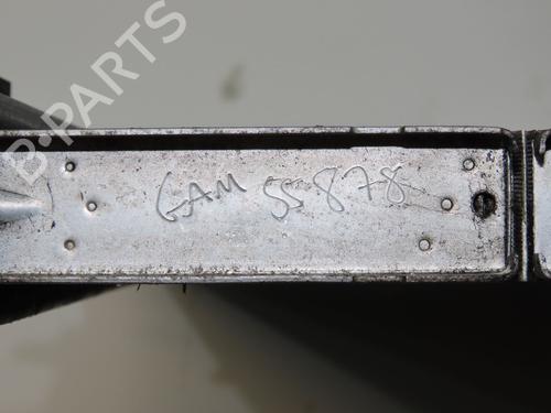 Water radiator CITROËN C3 II (SC_) 1.4 HDi 70 (SC8HZC, SC8HR0, SC8HP4) | BP31179691M31