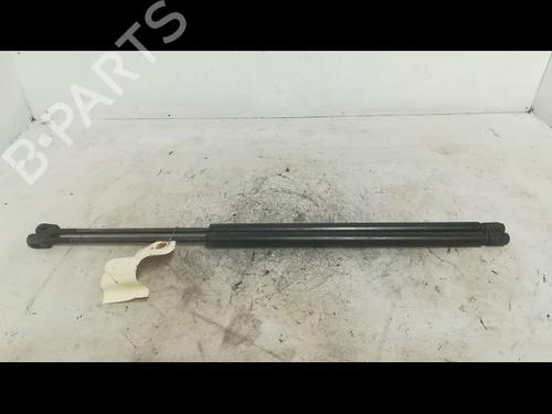 Used Tailgate lift support FORD FIESTA V (JH_, JD_) 1.4 TDCi (68 hp) 14879908
