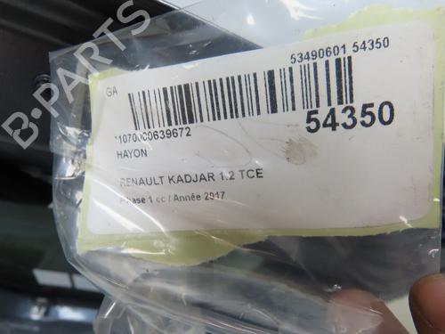 Used Tailgate RENAULT KADJAR (HA_, HL_) 1.2 TCe 130 (HLMR) (130 hp) 28364035