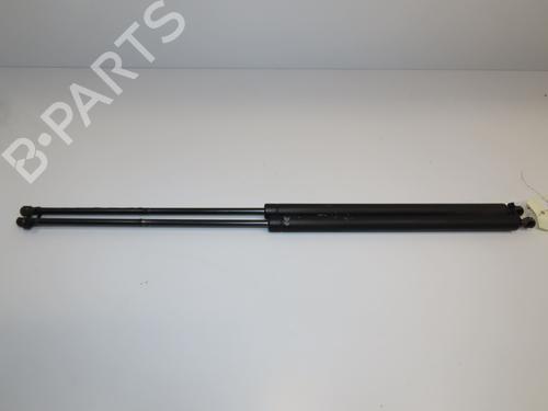 Used Tailgate lift support RENAULT KANGOO (KC0/1_) D 65 1.9 (KC0E, KC02, KC0J, KC0N) (64 hp) 28832306