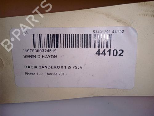 Tailgate lift support DACIA SANDERO II 1.2 | BP14880112C138 