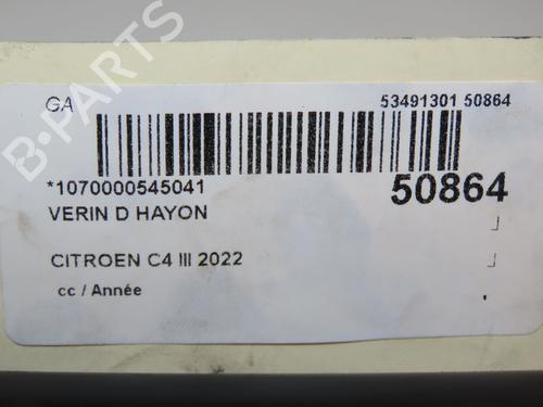 Gasdæmper bagklap Gasdæmper bagklap CITROËN C4 III (BA_, BB_, BC_) ë-C4 (BCZKXC, BZCKSC) (136 hp) 36495538 36495538