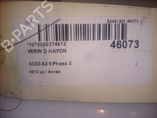 Tailgate lift support AUDI A3 (8P1) 2.0 TDI 16V | BP14880202C138 