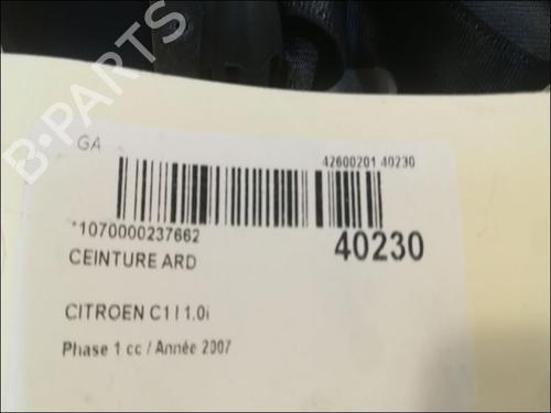 Rear right belt tensioner CITROËN C1 (PM_, PN_) 1.0 | BP9608367C90