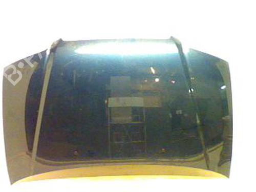 hood-hyundai-trajet-fo-1999-2000-2001-2002-2003-2004-2005-2006-2007-2008-36494814 main image