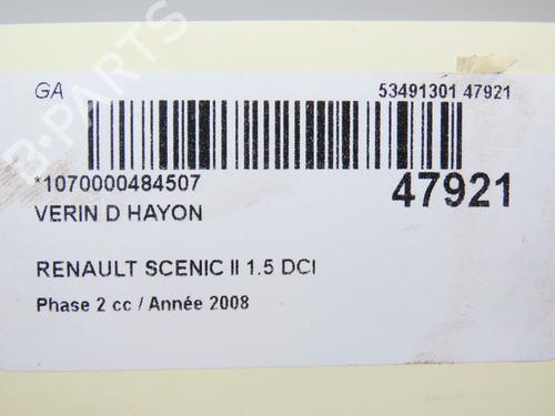 Tailgate lift support RENAULT SCÉNIC II (JM0/1_) 1.5 dCi (JM1E, JM16) | BP19747734C138 