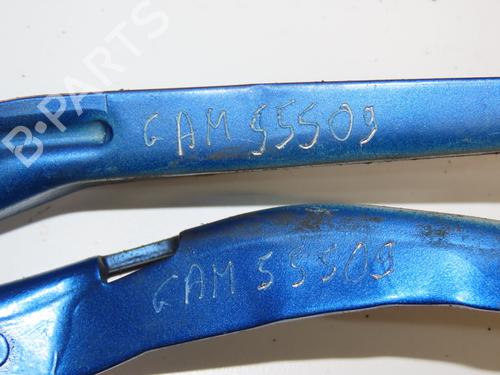 Used Hinge/Door check strap PEUGEOT 206+ (2L_, 2M_) 1.4 HDi eco 70 (68 hp) 30366642