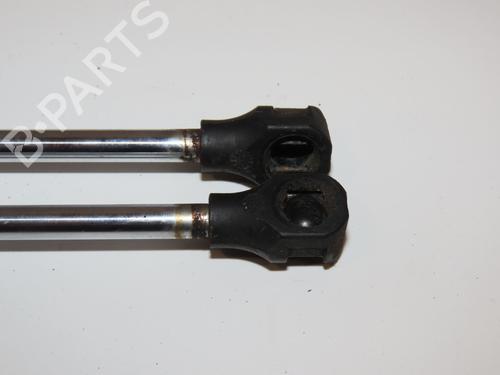 Hood lift support PEUGEOT 106 II (1A_, 1C_) 1.1 i | BP29318781C139 