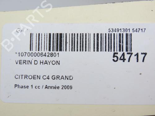 Tailgate lift support CITROËN C4 Picasso I MPV (UD_) 2.0 HDi 138 | BP29151008C138 