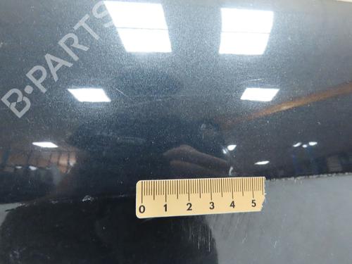 Left front door CITROËN XSARA PICASSO (N68) 1.6 HDi | BP28831317C2